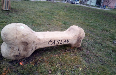 psí park Čáslav
