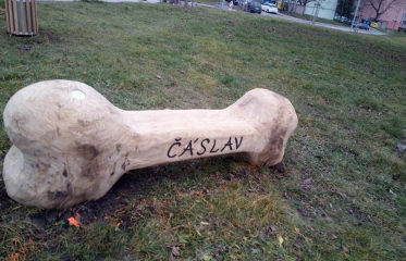 Agility Čáslav