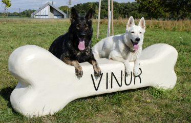 Agility Vinoř