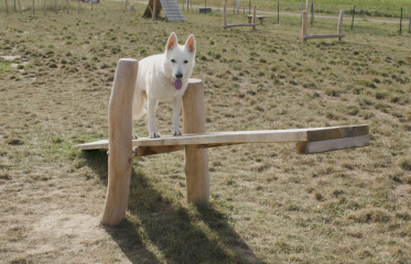 Agility Vinoř