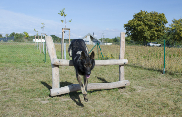 Agility Vinoř