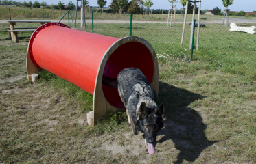 Agility Vinoř