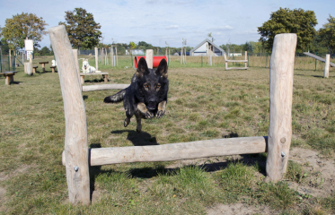 Agility Vinoř