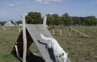 Agility Vinoř