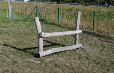 Agility Vinoř